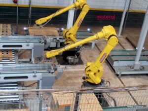 Robots Paletizadores y Despaletizadores