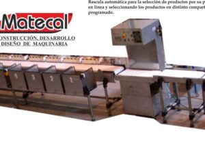 Báscula en Línea