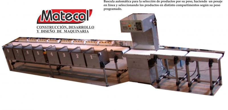 Báscula en Línea